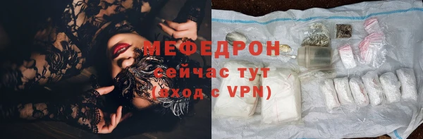 индика Богородицк