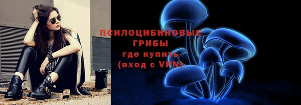 мяу мяу мука Алексеевка