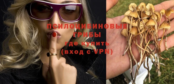 apvp Арсеньев