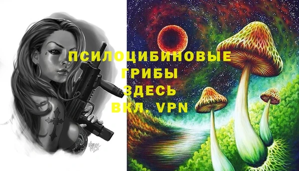 твердый Алексин