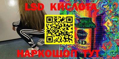 спиды Кандалакша