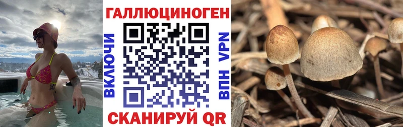 Псилоцибиновые грибы ЛСД  Волхов 