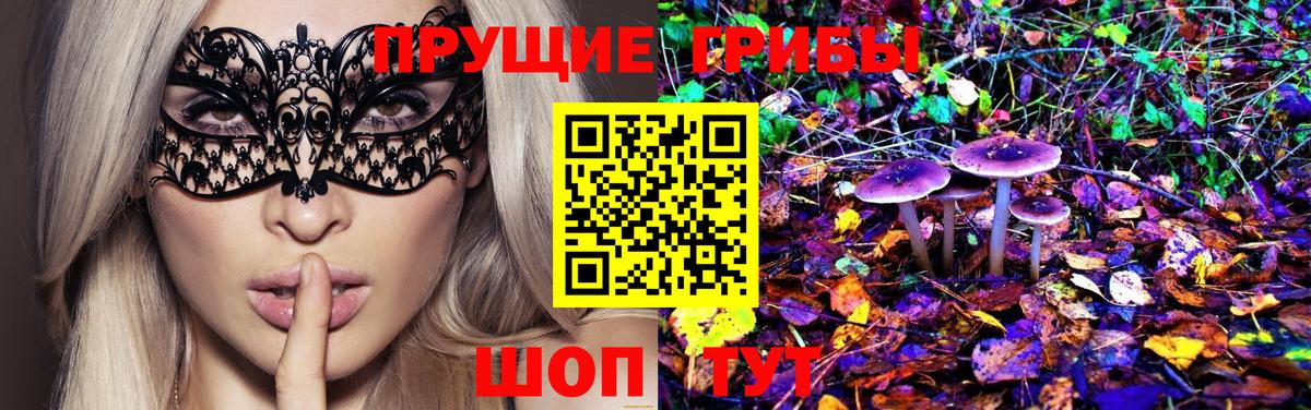Галлюциногенные грибы MAGIC MUSHROOMS  закладки  Волхов  Вход с VPN 