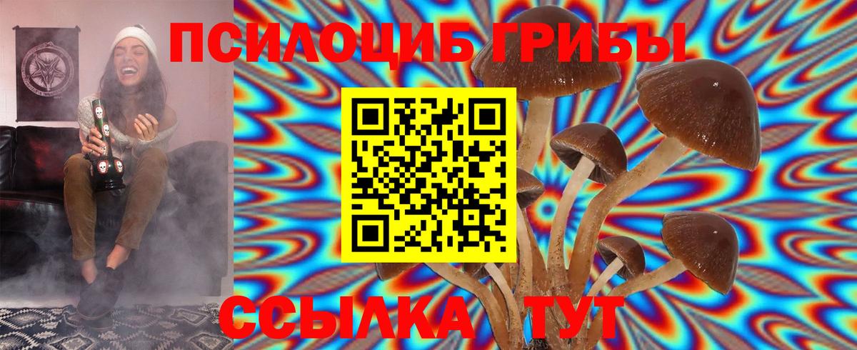 Галлюциногенные грибы Cubensis Волхов